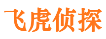 东兰市侦探调查公司